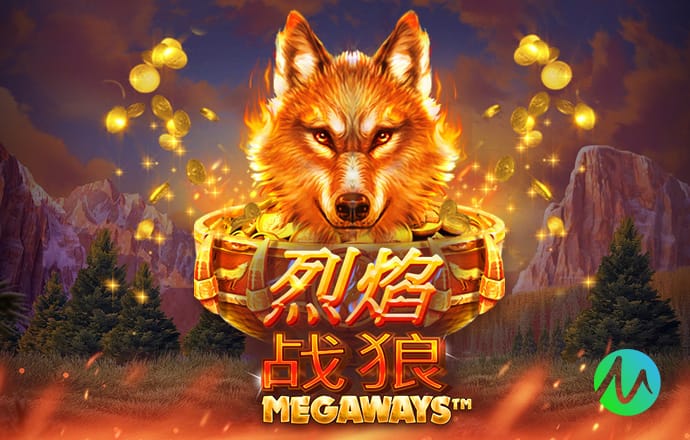 记者：图赫尔宁招本